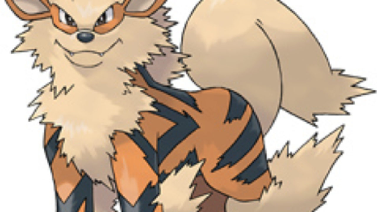 Arcanine Stats Moves And Characteristics Pokedex Geekno