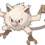 25 ideias de Meus pokemons tipo lutador