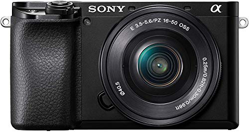 Sony Alpha 6100 (a6100)