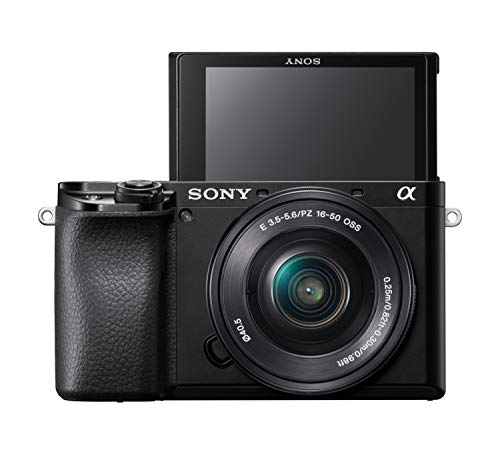 Sony Alpha 6100 (a6100)