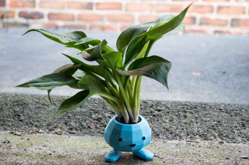 Macetero Oddish