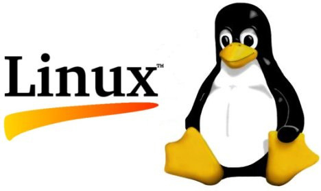 ¿Por qué utilizar Linux?